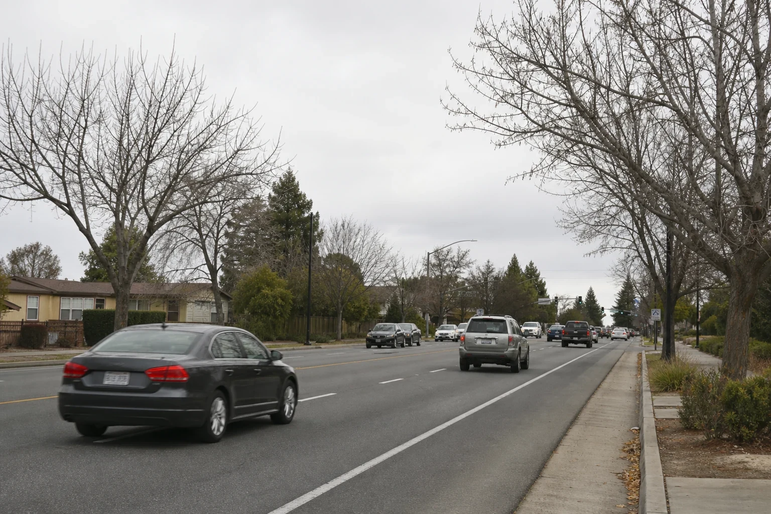 Multi-lane suburban street on an overcast day with cars heading toward a traffic light, bare street trees, a sidewalk and single-story homes behind fences